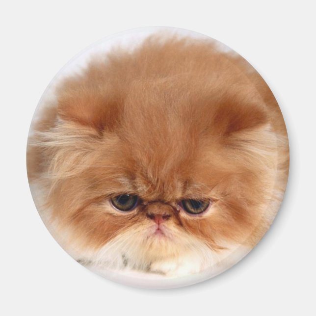 Persian Cat Face Magnet (Front)