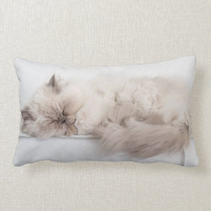 Persian Cat Lumbar Pillow