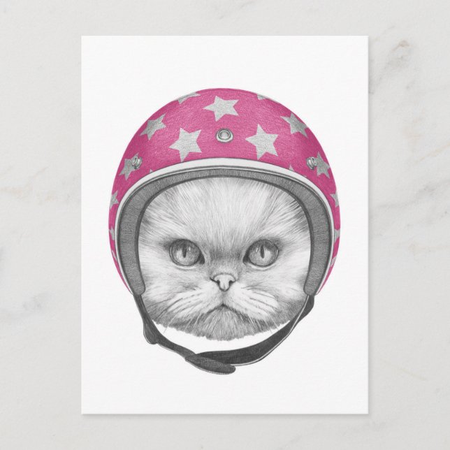Persian Cat Motorcycle Rider Postcard (Front)