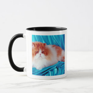 Persian cat mug