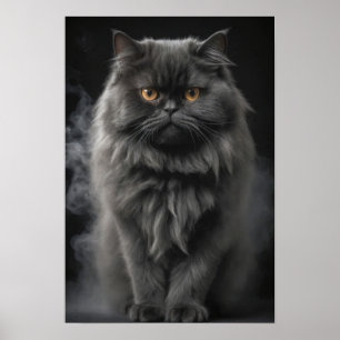Persian Cat Pet Animal Elegant Dramatic Portrait  Poster