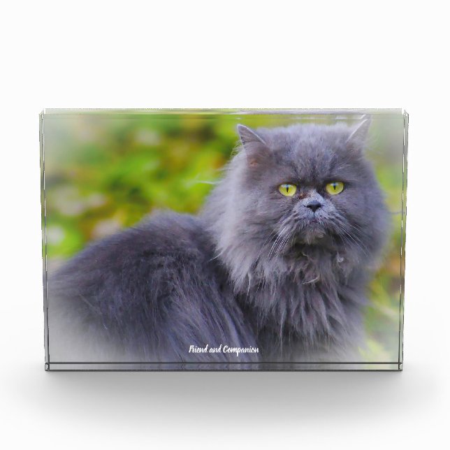 Persian Cat Photo Block (Front)