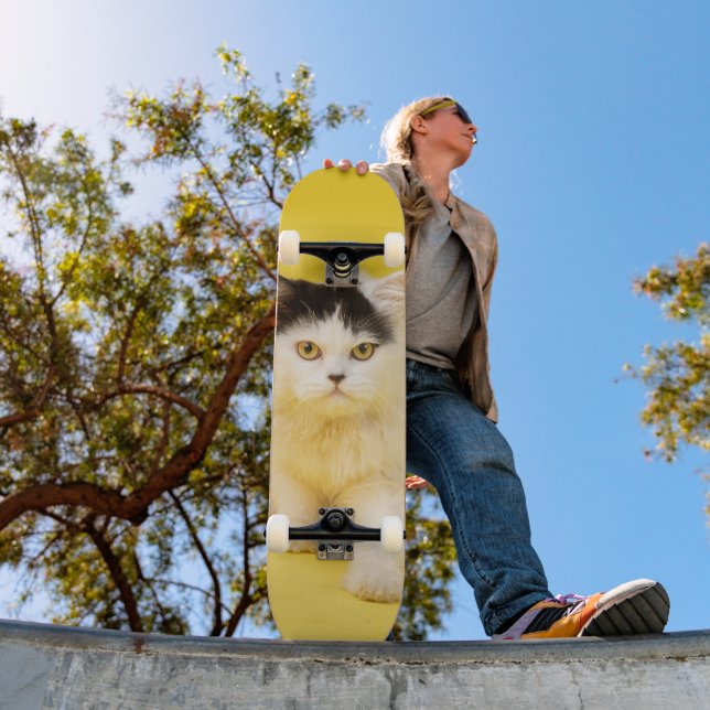 Persian Cat Puppy Skateboard (Outdoor 1)