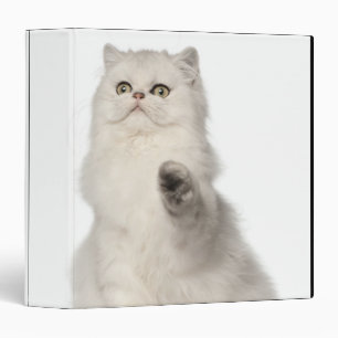 Persian cat sitting binder