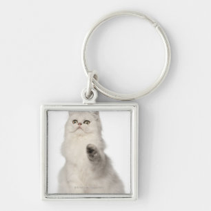 Persian cat sitting keychain
