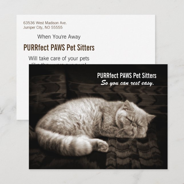 Persian Cat Sleeping in Sepia Tones Pet Sitter's P Postcard (Front/Back)