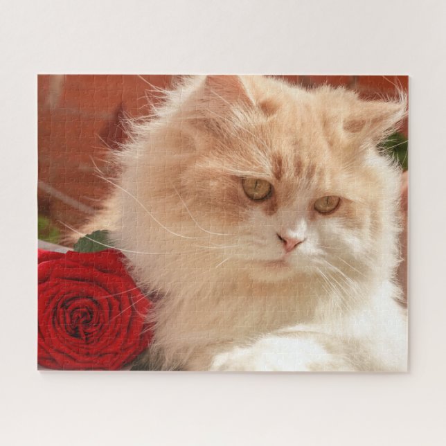 Persian Cat with a Red Rose Jigsaw Puzzle (Horizontal)