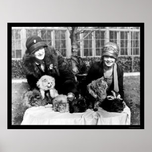 Persian Cats and American Ladies 1924 Poster