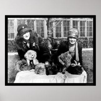 Persian Cats and American Ladies 1924 Poster