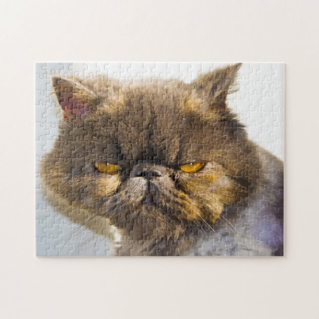 Persian Cats. Jigsaw Puzzle (Horizontal)