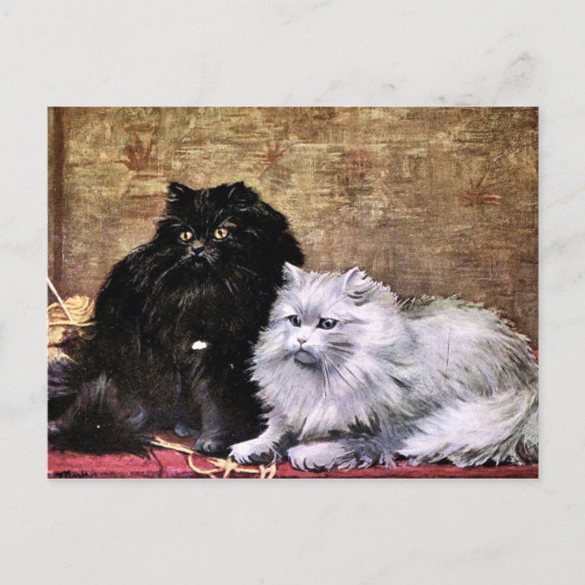 Persian Cats Painting Postcard (Front)
