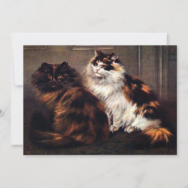 Persian Cats Tortoiseshell #Caturday Invitation (Front)