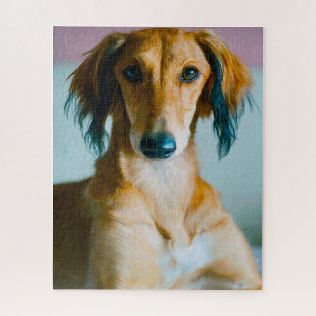 Persian Hound Dog. Jigsaw Puzzle (Vertical)