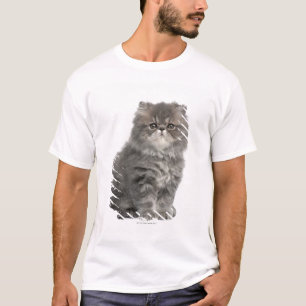 Persian Kitten (2 months old) sitting T-Shirt