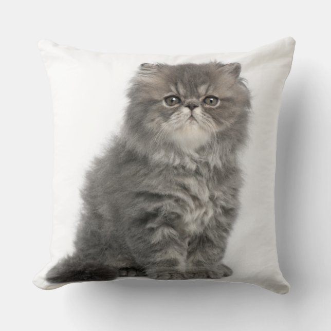 Persian Kitten (2 months old) sitting Throw Pillow (Front)