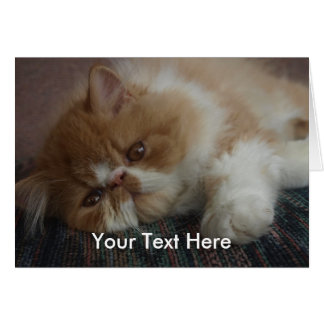 Persian Kitten Card