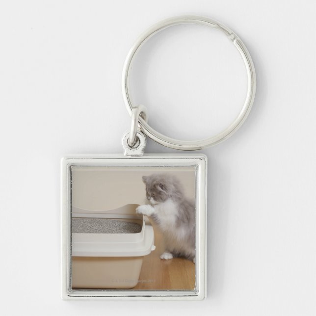 Persian Kitten looking at litter box Keychain (Front)