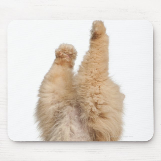 Persian playing (3 years old) mouse pad (Front)