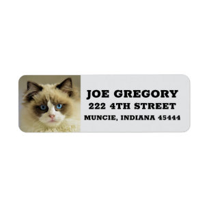 PERSIAN RAGDOLL CAT Adresse de retour Étiquettes