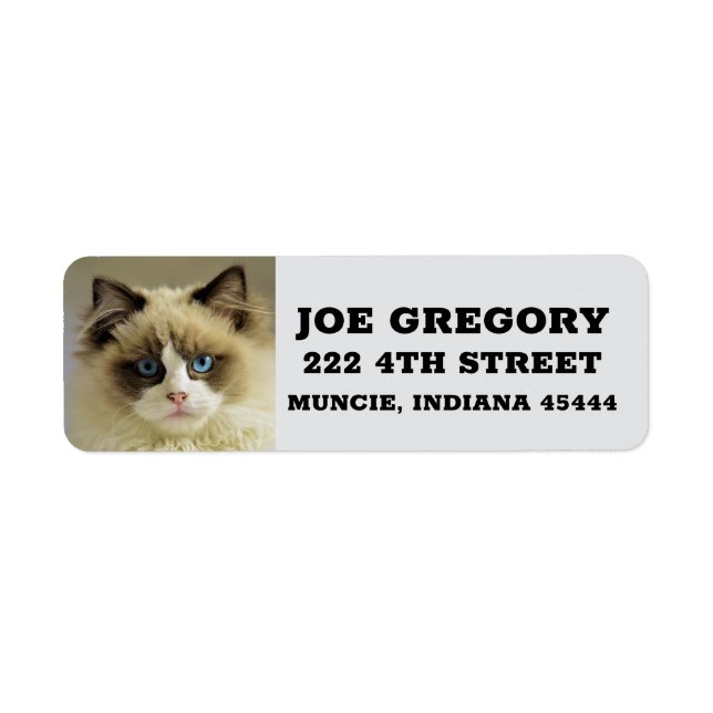 PERSIAN RAGDOLL CAT Return Address Labels (Front)