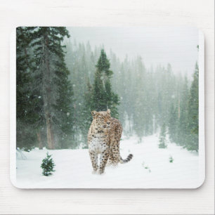 Persian Snow Leopard in the Snow Mouse Pad