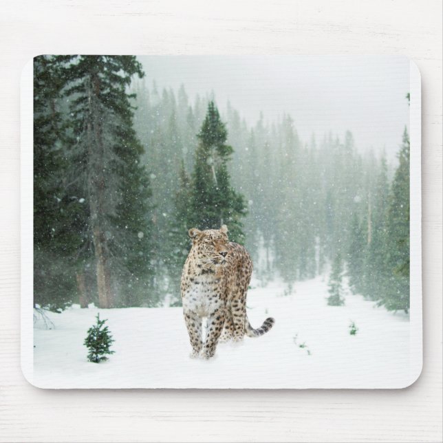 Persian Snow Leopard in the Snow Mouse Pad (Front)