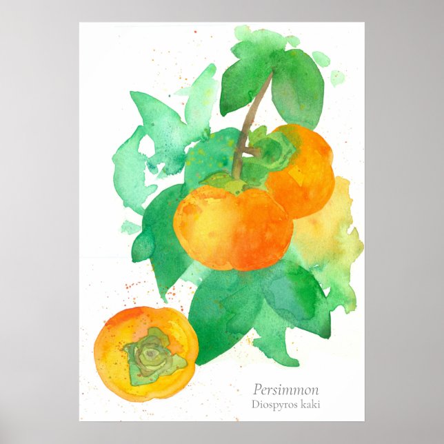 Persimmon Fruit Botanical Watercolor Poster (Front)