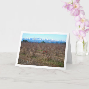 Persimmon Fruit Field and Snowy Mountains Card