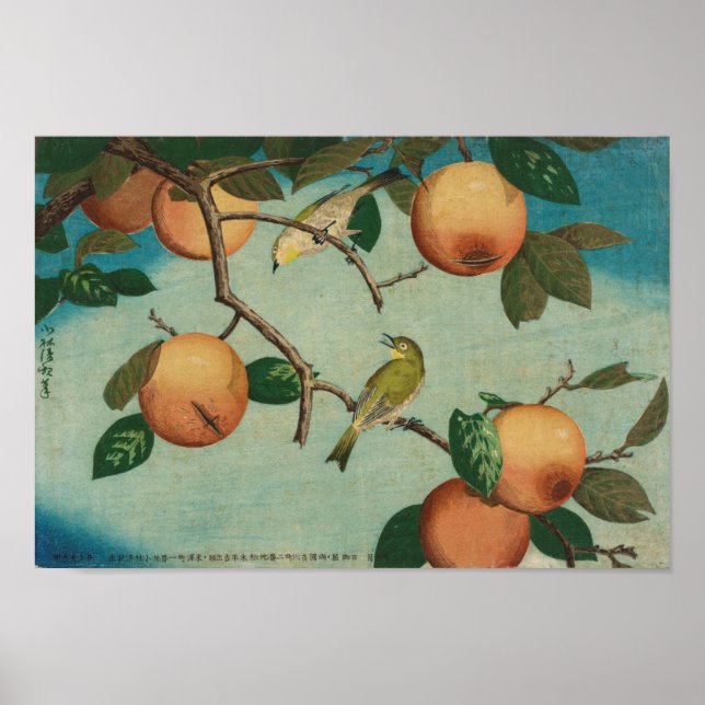 Persimmons and White-Eyes 1880 Japanese Print (Front)