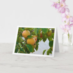 Persimmons in Tree Portrait Card