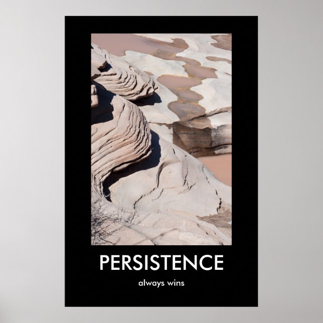 PERSISTANCE, toujours gagne Demotivational Poster (Devant)