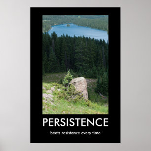 Persistence Demotivational Poster