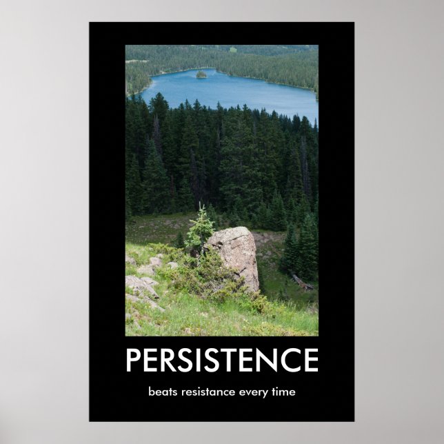 Persistence Demotivational Poster (Front)