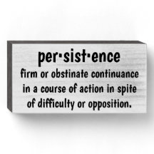 Persistence Word Definition Inspiring