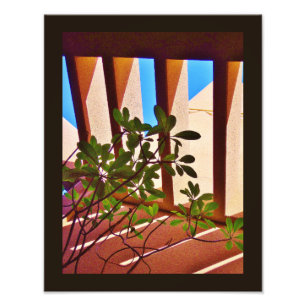 Persistent Plant Photo Print