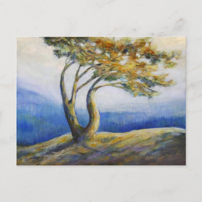 Persistent postcard (Front)