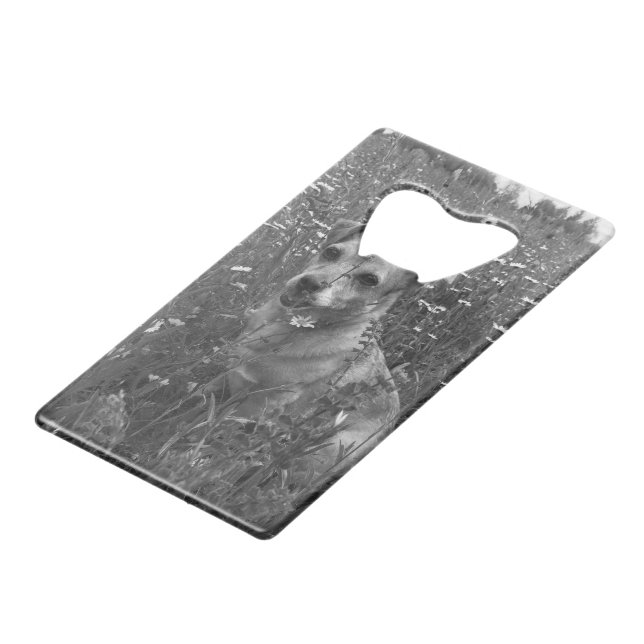 Personal Dog Bottle Opener Credit Card Bottle Opener (Back Angled)