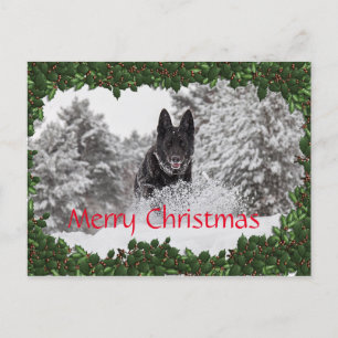 Personalised Christmas postcard with black dog