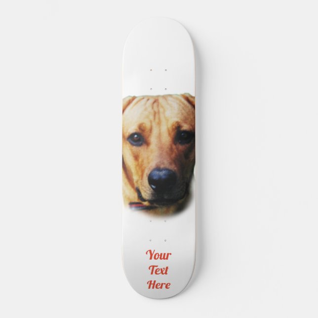 Personalised Custom Image Skateboard Deck (Front)