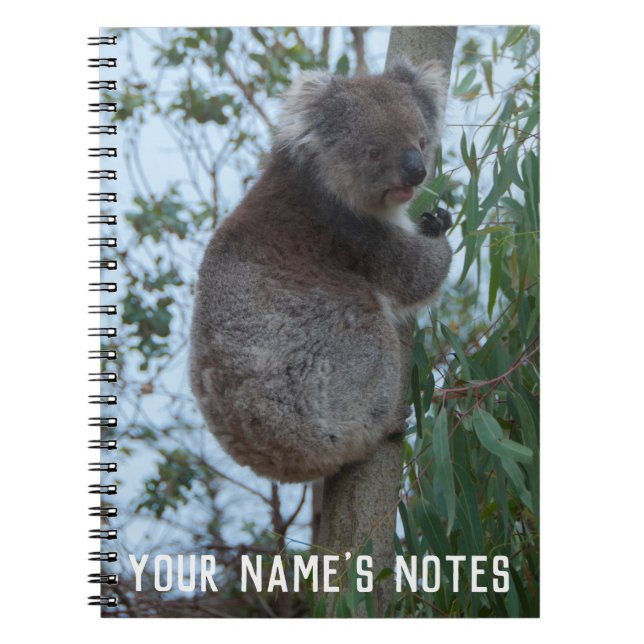 Personalised Cute Koala Animal Wildife Notebook (Front)