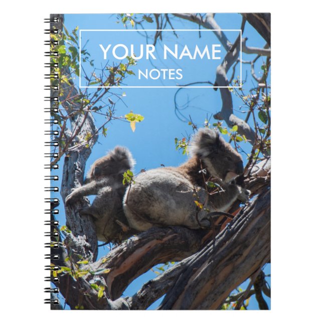Personalised Koalas Notebook (Front)
