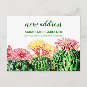 Personalised New Address Cactus Succulent Plant Postcard