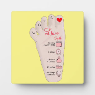 Personalised New Baby Gift Birth Stats Details Plaque