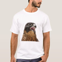 Personalised Peregrine Falcon