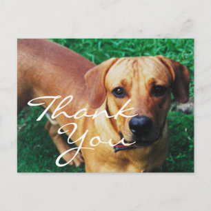 Personalised Photo Thank You Postcard