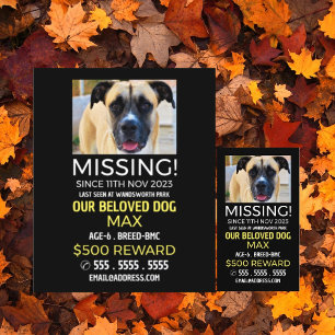 Personalised Photograph, Missing, Lost Pet Cards