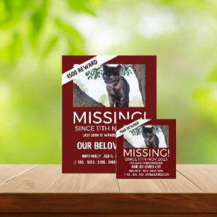Personalised Photograph, Missing, Lost Pet Cards