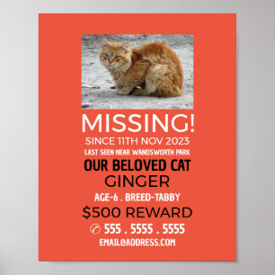 Personalised Photograph, Missing, Lost Pet Poster
