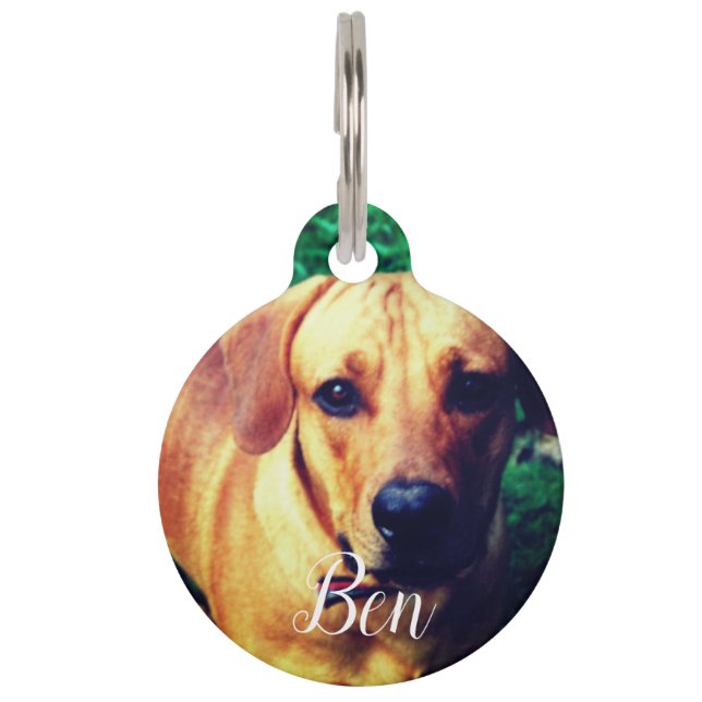 Personalised Picture Custom Photo Dog Tag (Front)