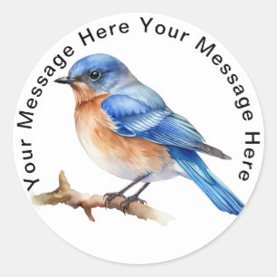 Personalised SongBird Stickers Eastern Bluebird